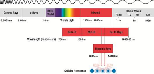 infrared-graph.jpeg